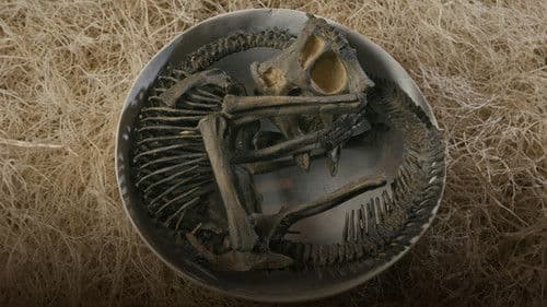 The Dinosaur Echo Bild 1