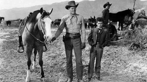 Der große Zug nach Santa Fe Bild 3