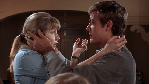 Die Liebe eines Sommers Bild 5