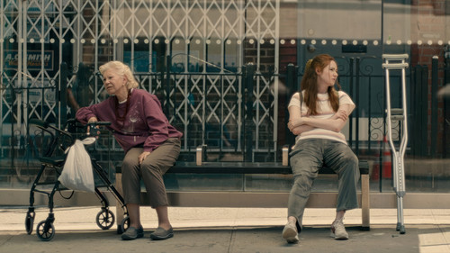 Late Bloomers Bild 1