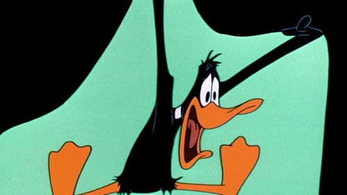 Entnervte Ente Bild 6