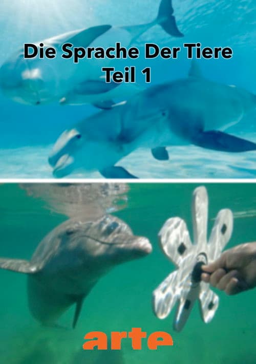 Die Eloquenz der Tiere (1/2)