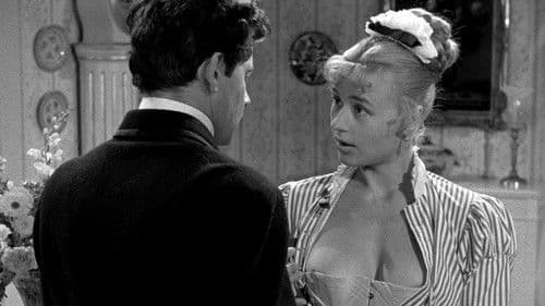 Das Lächeln einer Sommernacht Bild 8