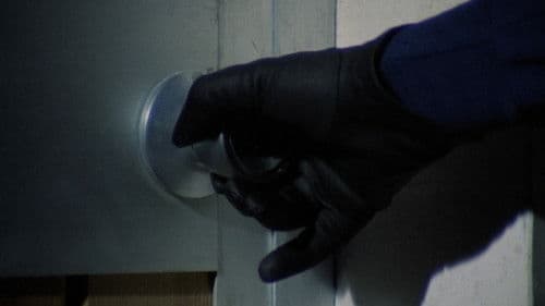 El pez de los ojos de oro Bild 3