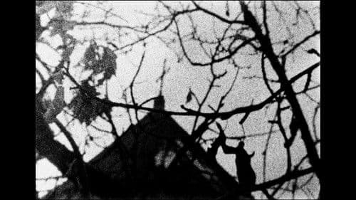 At the Passage of Ziletia Bild 4