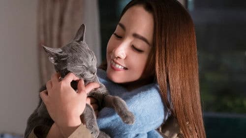 猫は抱くもの Bild 1