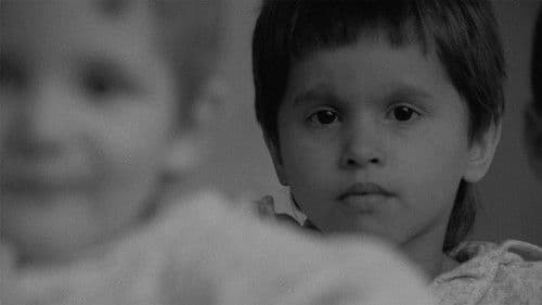 Örökbefogadás Bild 5