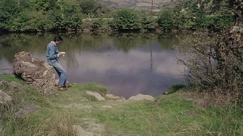 Matar Saudades Bild 2