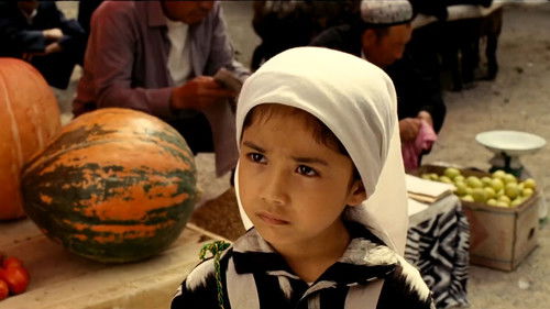 幸福的向日葵 Bild 1