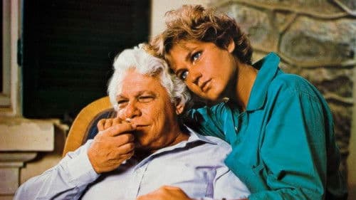 Fuscão Preto Bild 1