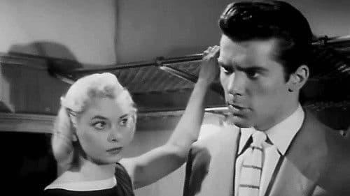 The Flying Scot Bild 2