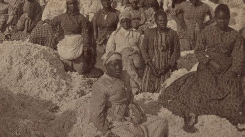 „Onkel Toms Hütte“ – Vom Helden zum Verräter Bild 1