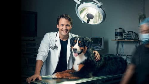 Dr Sébastien, vétérinaire Bild 1