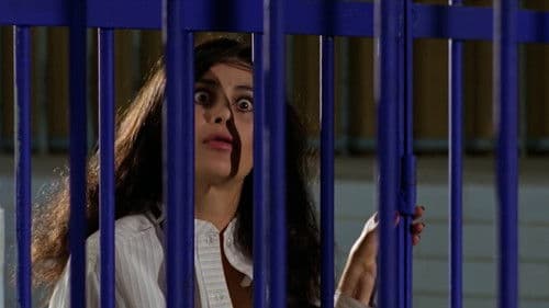 El Dia Del Compadre Bild 6