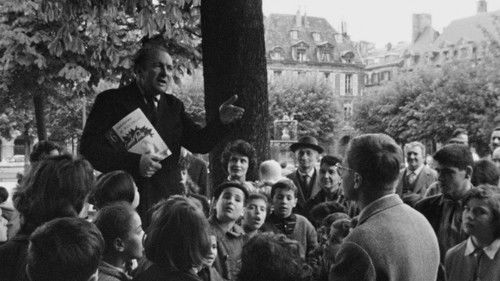 Der schöne Mai Bild 5