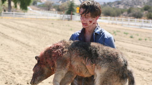 Frankenstein - Das Experiment Bild 8