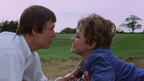 … unterm Holderbusch Bild 2