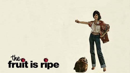 Griechische Feigen Bild 3