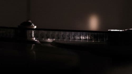 The Bannfoot Ferry Bild 5