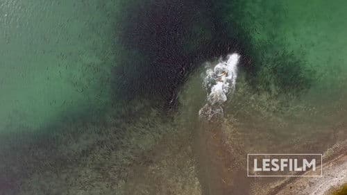 Медведи Камчатки. Начало жизни Bild 8