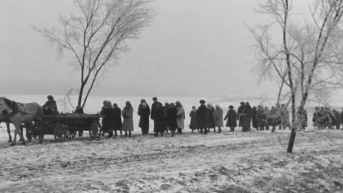 Материнское поле Bild 3