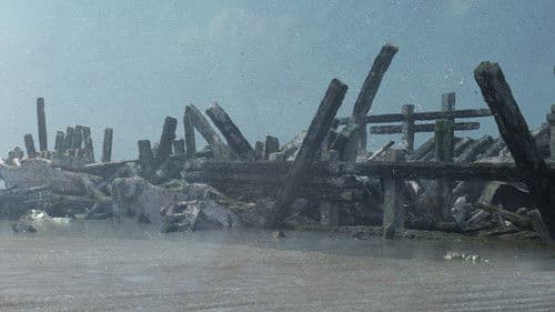 Enthüllt: Geheimnisse der Meere Bild 7