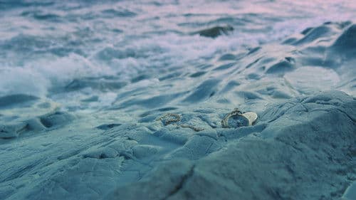 Pasajeros en trance Bild 6