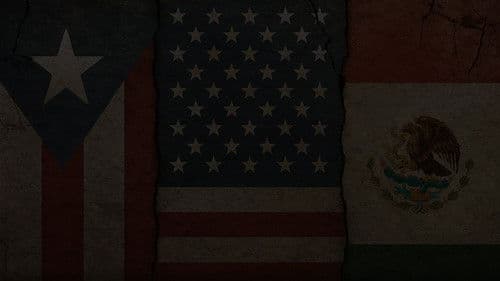 Jake Paul vs. Julio Cesar Chavez Jr Bild 5