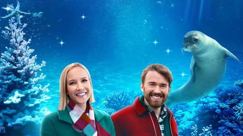 Seaside Christmas – Ein Seehund zum Fest Bild 2