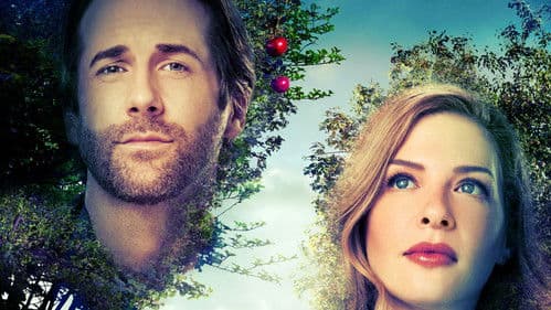 Der Duft von Apfelblüten Bild 3