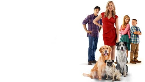 Die Hunde-Gang - Helden auf vier Pfoten Bild 5