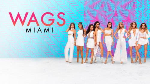 WAGS Miami Bild 4