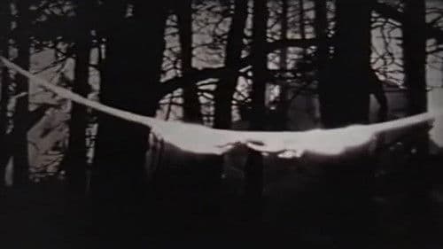 The Art of Vision Bild 2