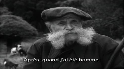 Maurin des Maures Bild 1