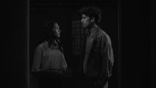 ആപ്പിൾച്ചെടികൾ Bild 1