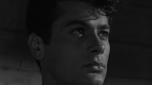 Sein großer Kampf Bild 5