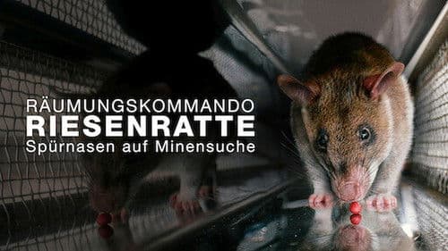 Räumkommando Riesenratte - Spürnasen auf Minensuche Bild 3