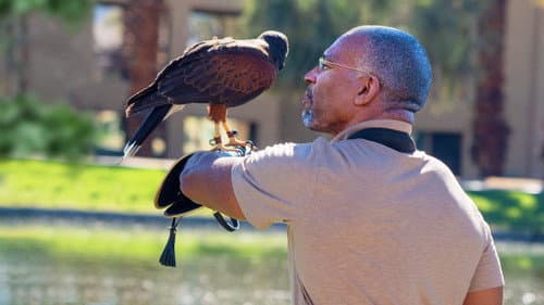 Extraordinary Birder with Christian Cooper Bild 5
