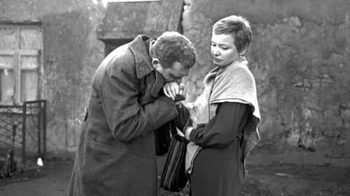 Двадцать дней без войны Bild 3