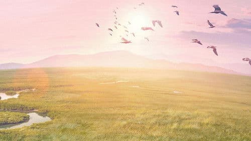 Unsere Erde III Bild 3