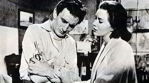 Innocent Meeting Bild 2