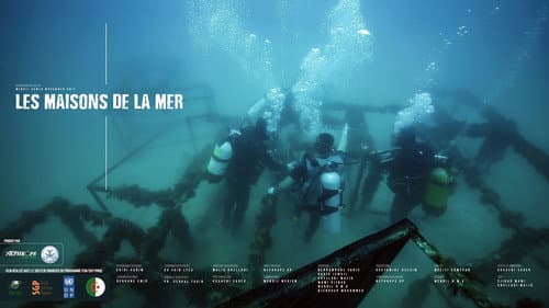 Les Maisons De La Mer Bild 1