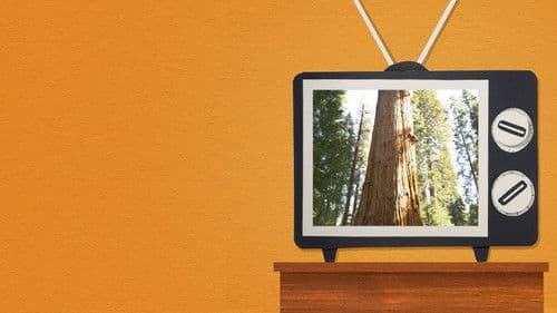 Nature Boom Time Bild 3