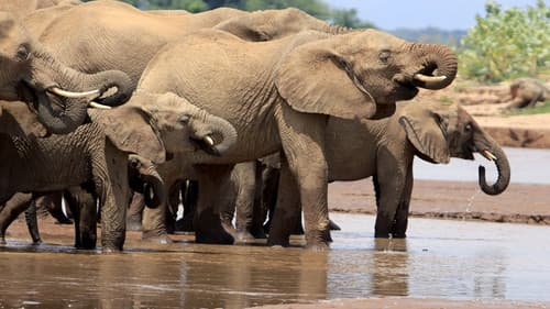 Chasing the Rains Bild 3