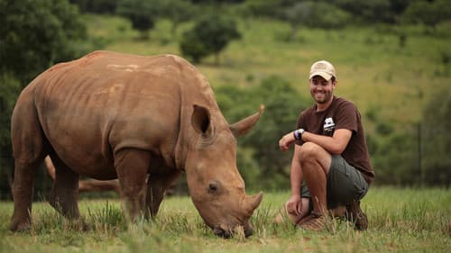 Team Wildlife Südafrika Bild 1