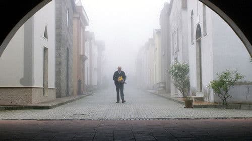 From the Vine Bild 8