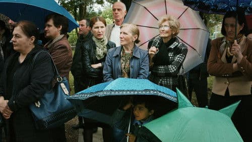 დაისის მიზიდულობა Bild 1