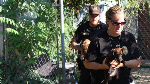 Philly Undercover Bild 4