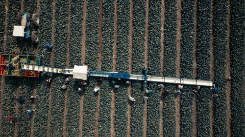 La edad del agua Bild 1