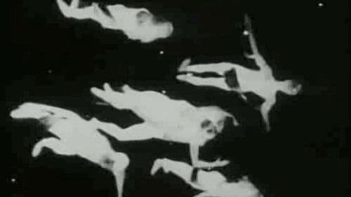 The Very Eye of Night Bild 2